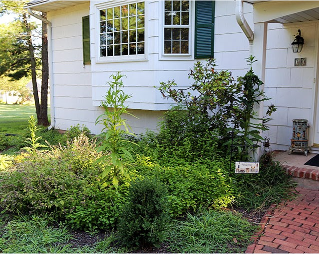 Zimmerman Landscaping LLC Photo Gallery Hillsborough, NJ