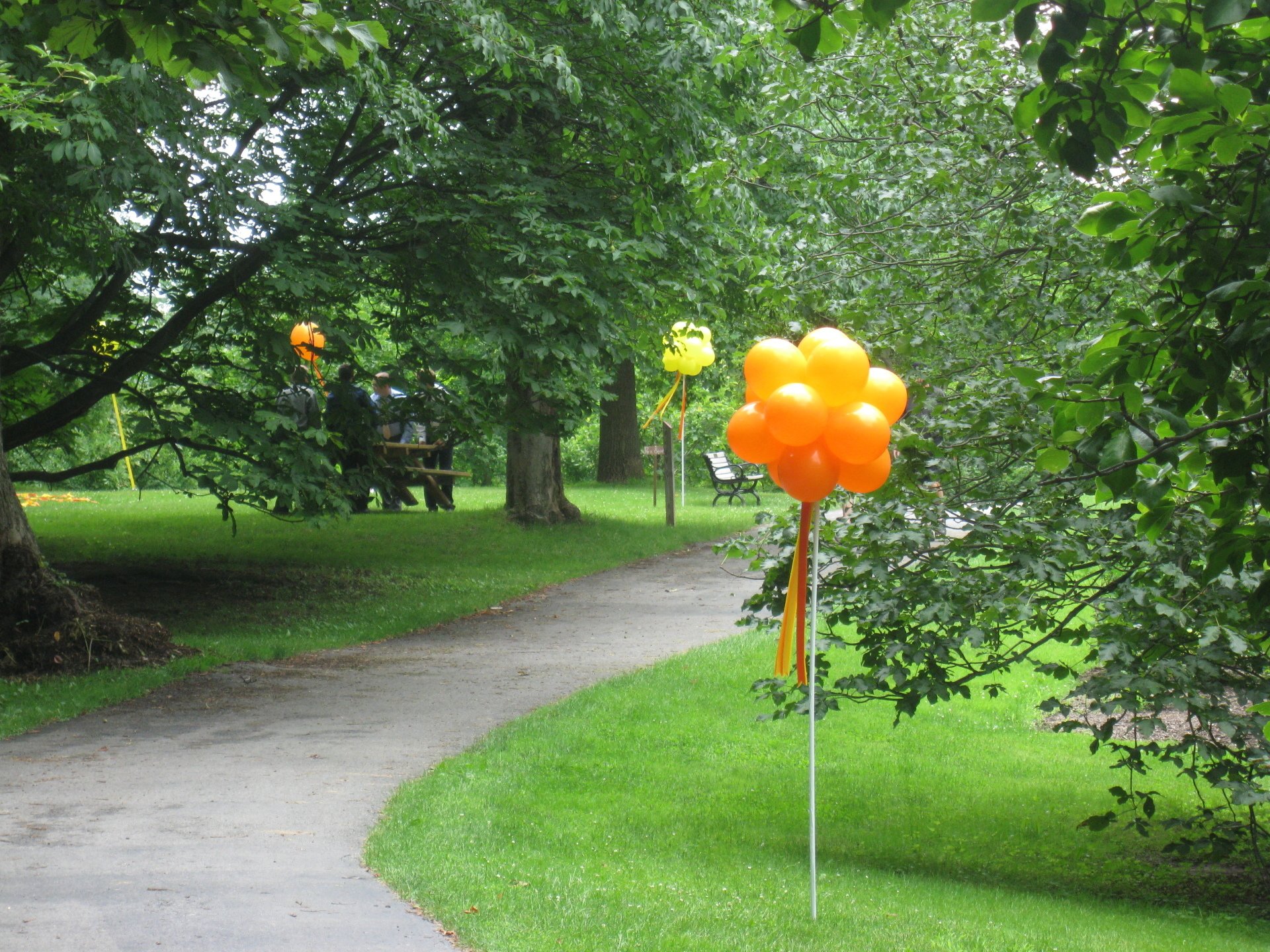 Balloon Decor Balloon Arrangement Rochester, NY