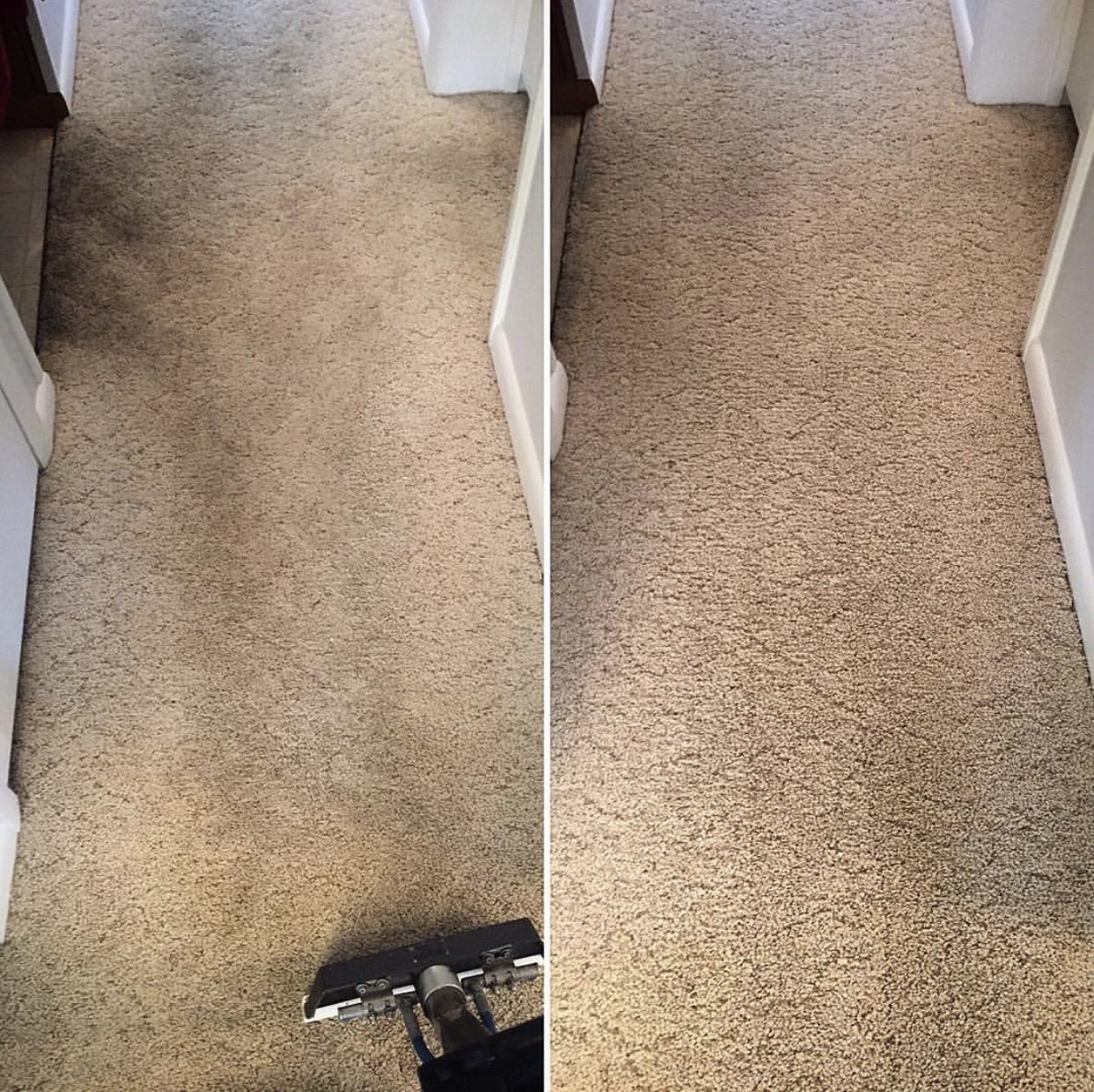 Fresh Carpets Carpet Cleaners Mantua, NJ