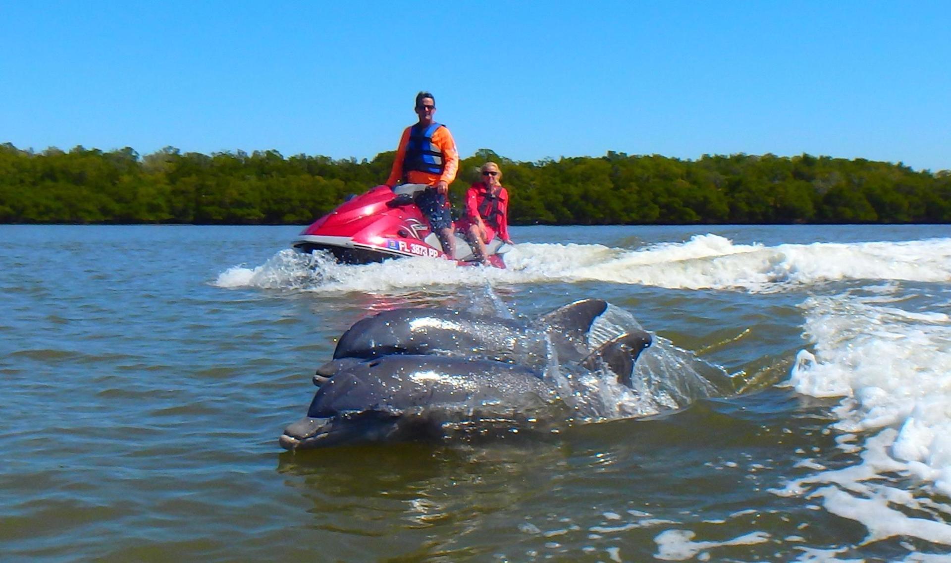 Avi's Water Sports Dolphin Whisperer Marco Island, FL