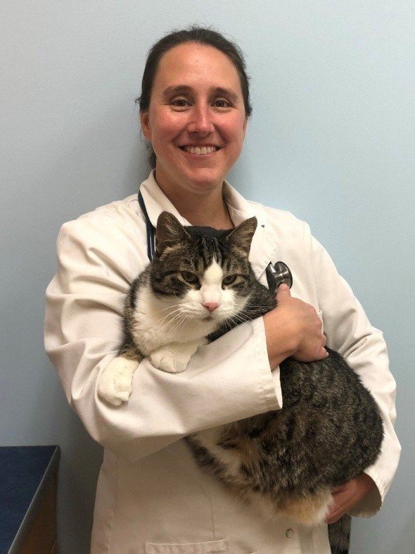 About Vogel Veterinary Hospital Arnold, MO Pet Clinic