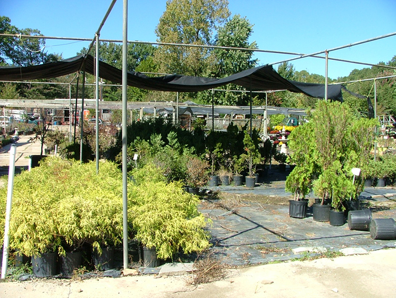 Giaroli's Nursery & Landscaping Gallery Memphis, TN