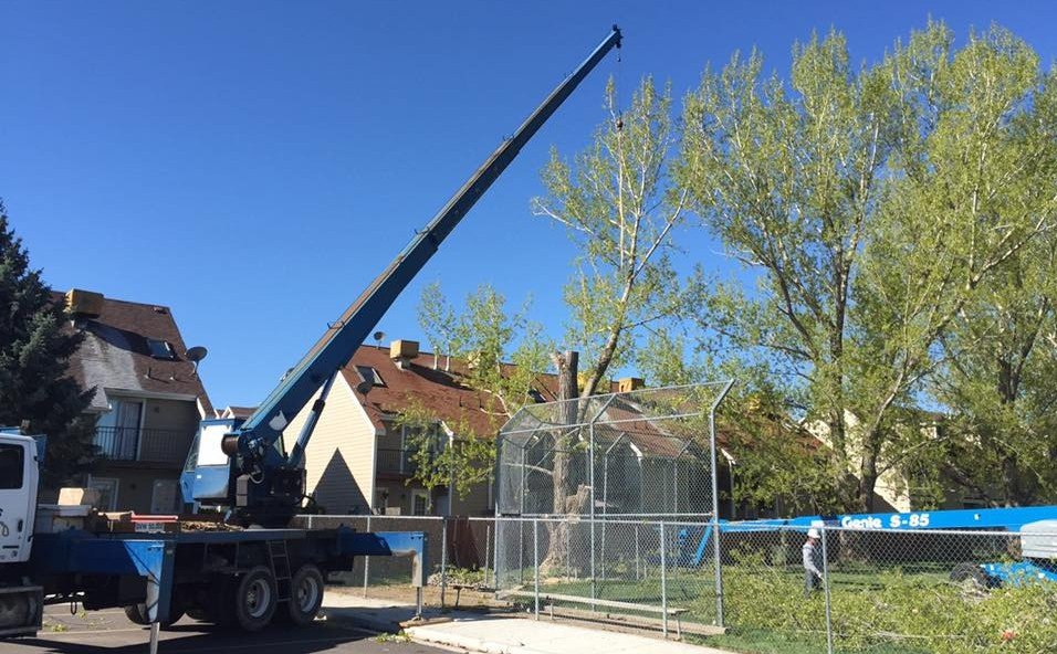 Hang M High Crane Service Crane Rentals West Haven, UT