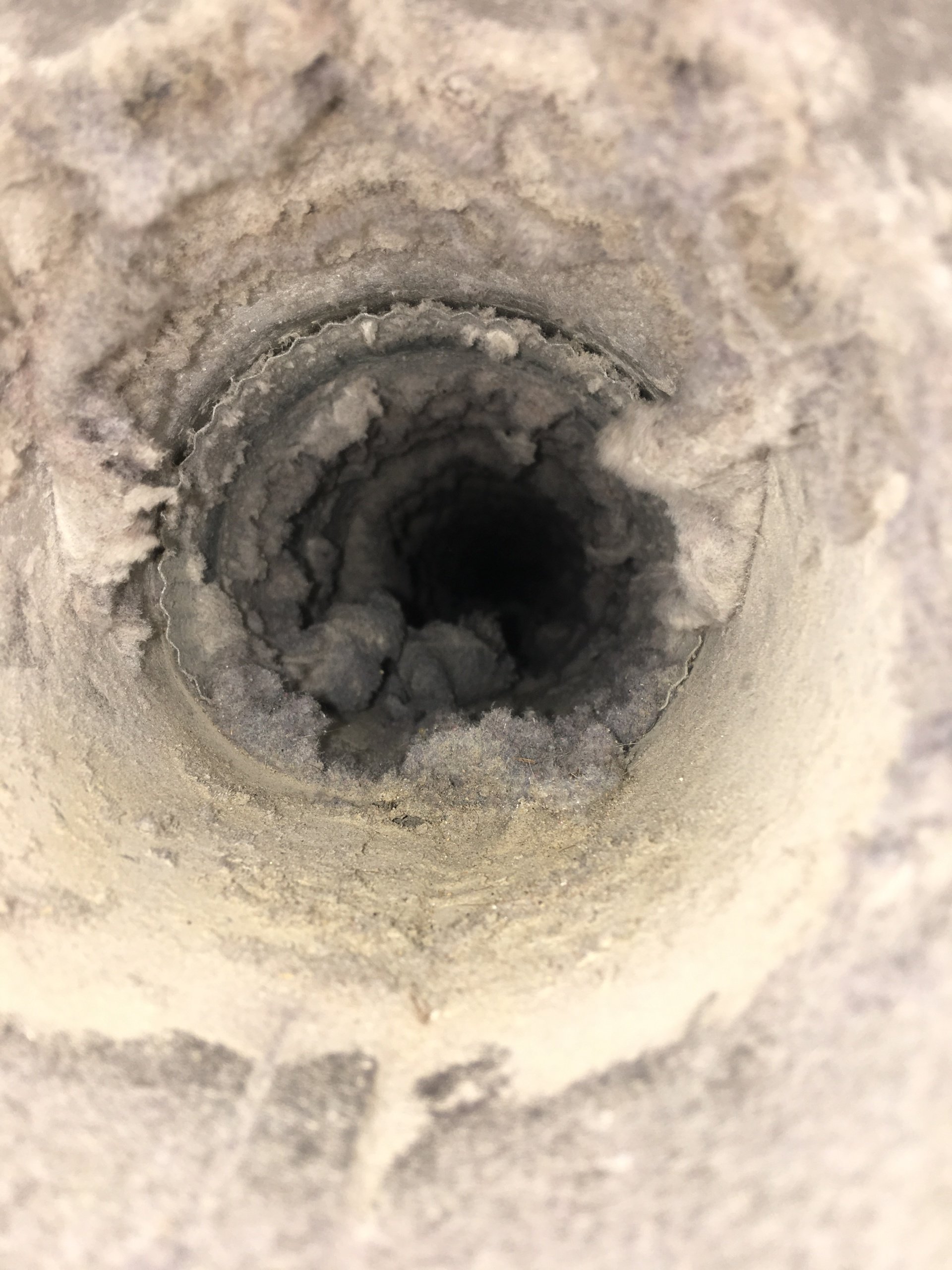 Tri State Carpet Cleaning & Restoration Gallery Angola, IN