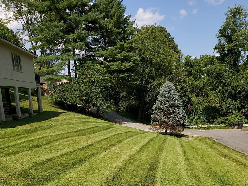 One Earth Landscapes Inc Mowing Mulch Delivery Mulch Service