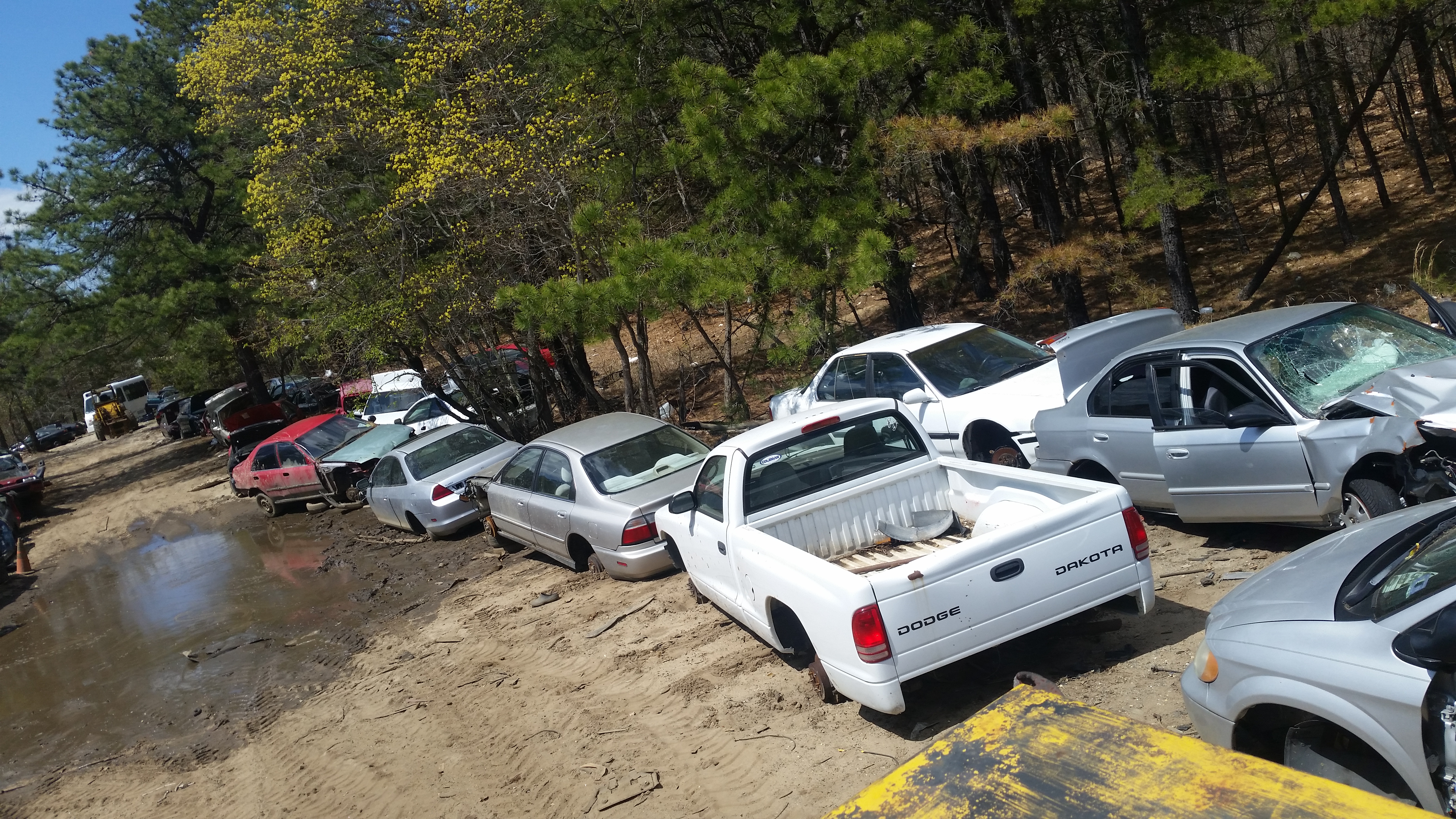 Ralph's Used Honda Photo Gallery Williamstown NJ