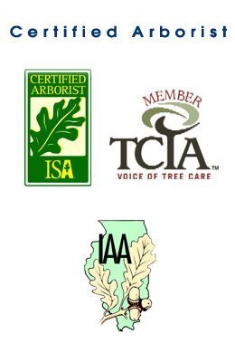 Certified Arborist - Rantoul, IL - Petmecky Tree Service