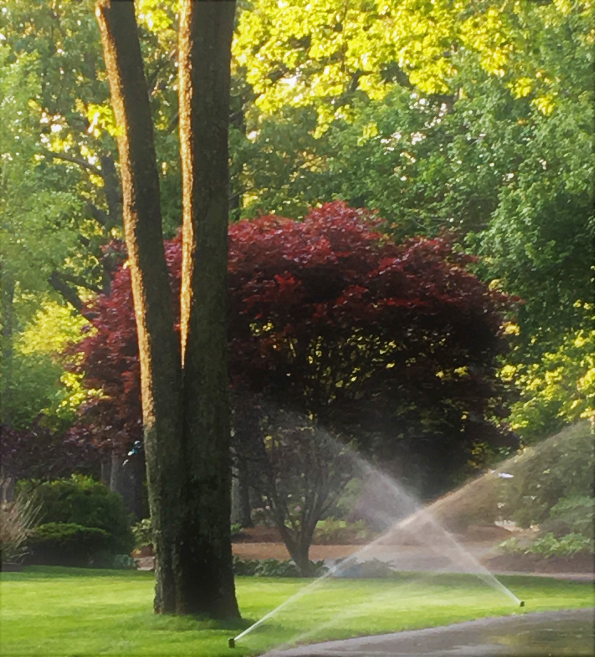 Gallery Irrigation System and Landscaping Waterworks Irrigation