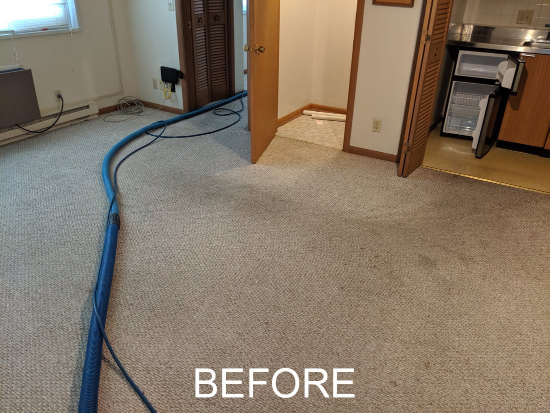 Carpet Cleaning Spot and Odor Removal Muscatine, IA