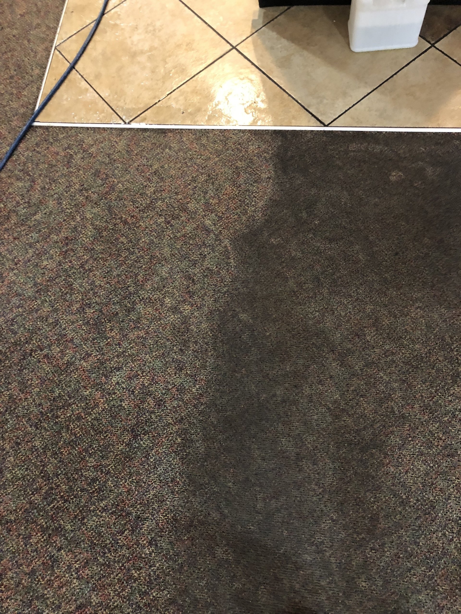 Carpet Cleaning Spot and Odor Removal Muscatine, IA