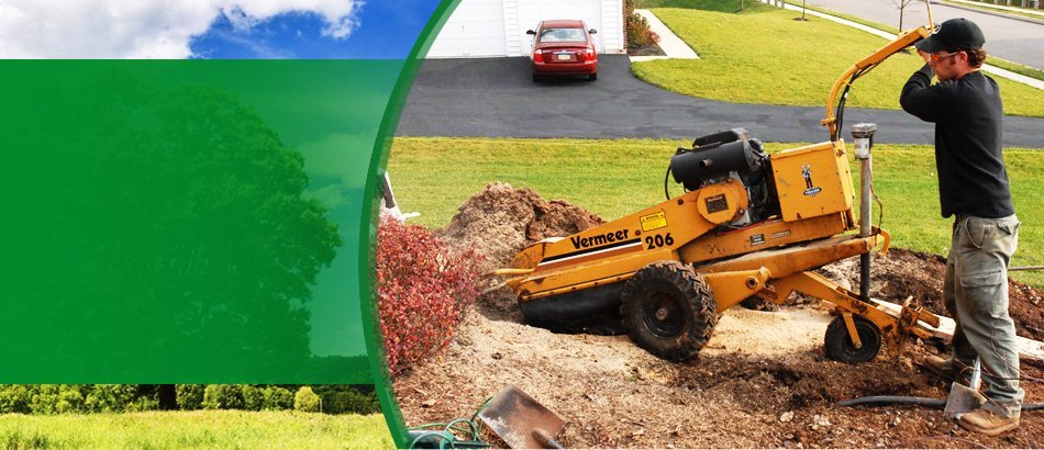 rent stump grinder dayton ohio