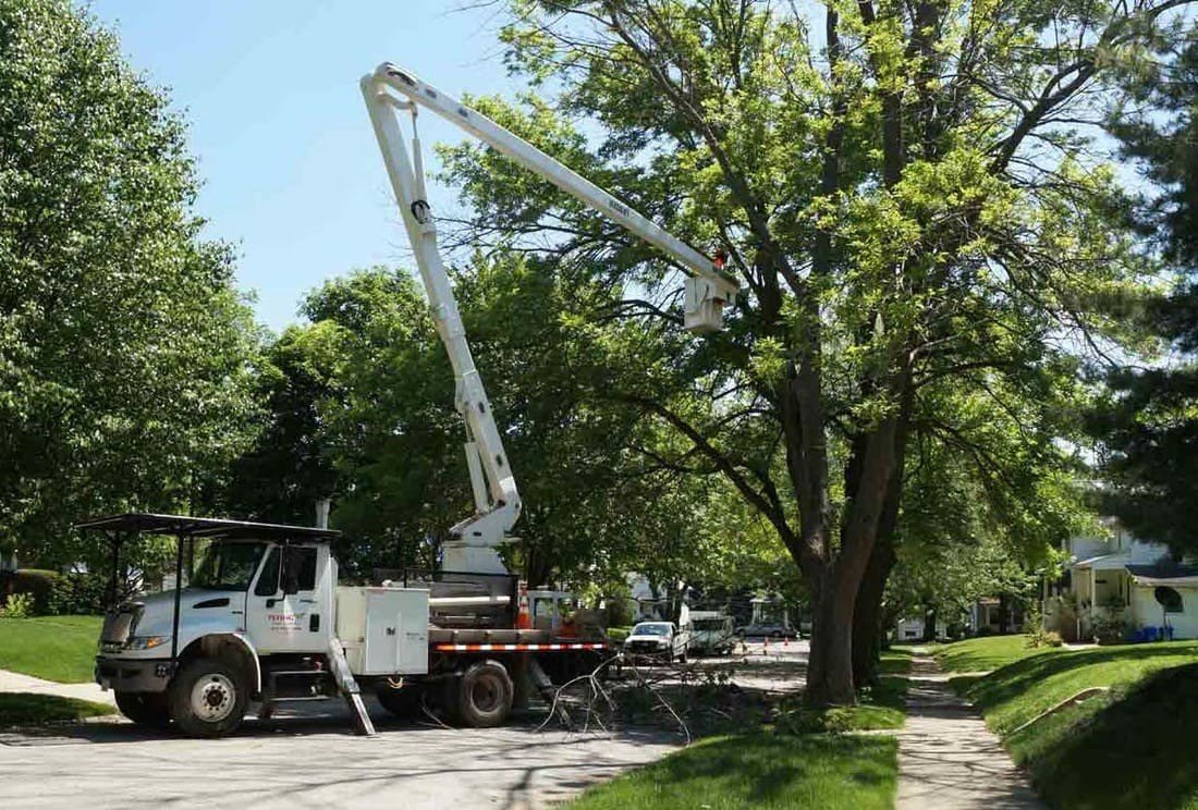 Tree Service Equipment Rockford, IL
