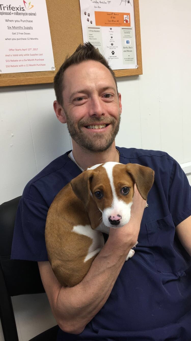 Pet Boarding Safe Boarding Facility South Charleston, WV