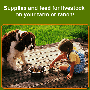 petrus rabbit feed near me