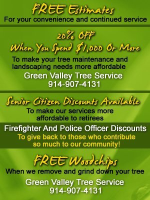 Landscaping Services West Harrison Ny Green Valley Tree Service Tree Removal West Harrison Ny Green Valley Service