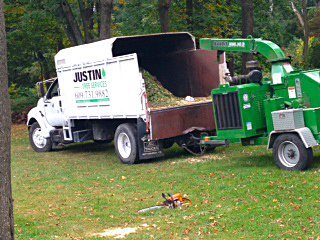 justin s tree service tree services justin photo gallery lawrence township nj justin s tree service tree services justin photo gallery lawrence township nj