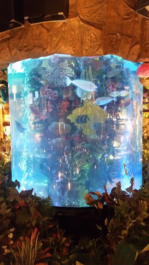 Custom Aquariums Public Aquariums Sarasota, FL